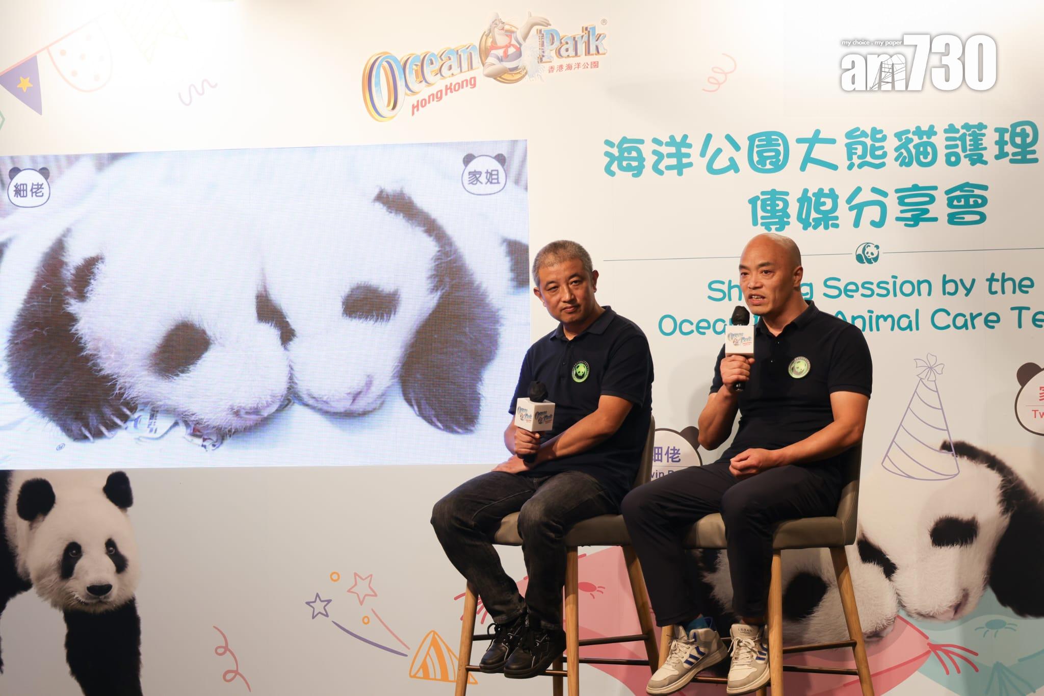 大熊貓龍鳳胎已開眼,預計農曆新年前後可與公眾見面。(吳康琦攝)