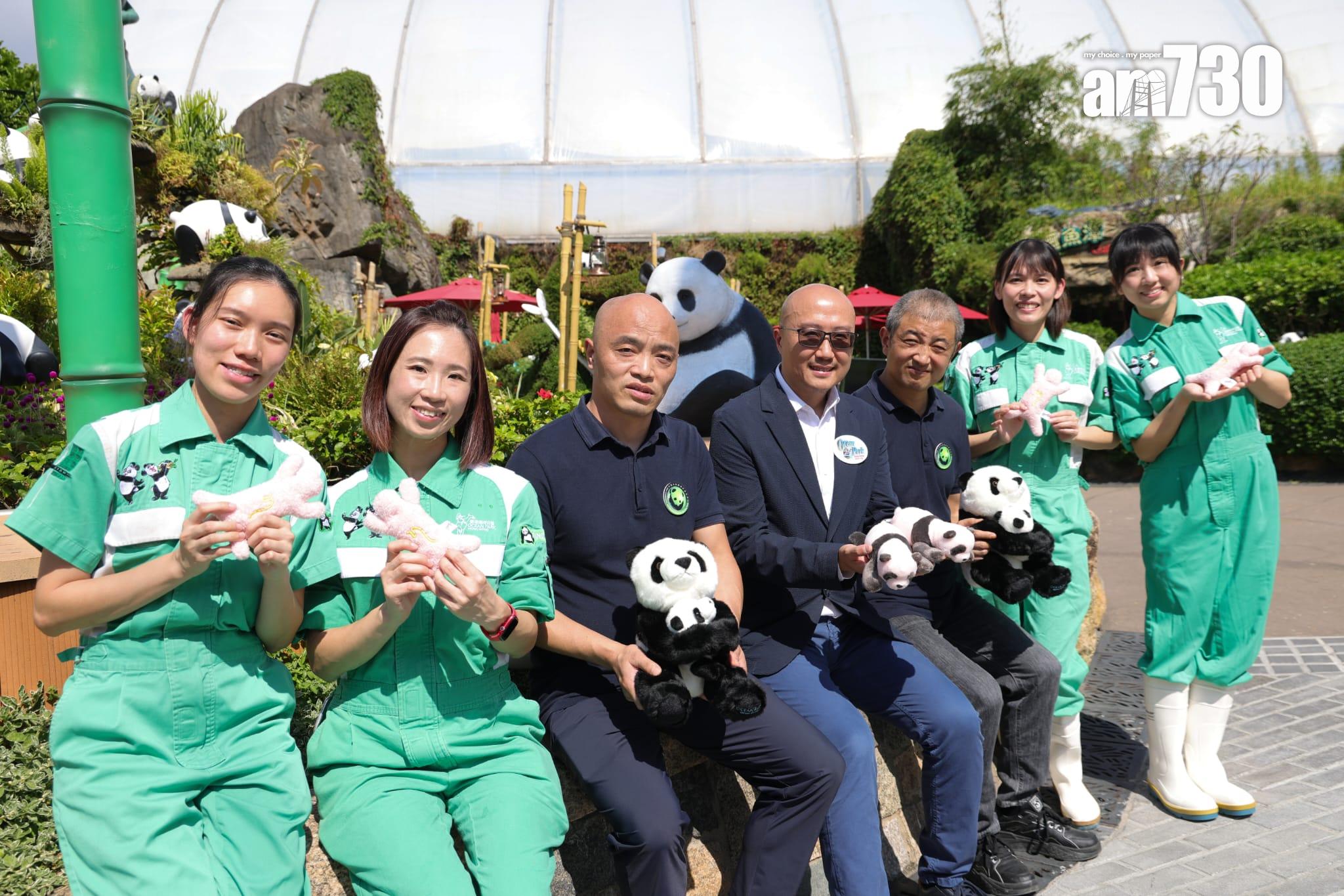 大熊貓龍鳳胎已開眼,預計農曆新年前後可與公眾見面。(吳康琦攝)