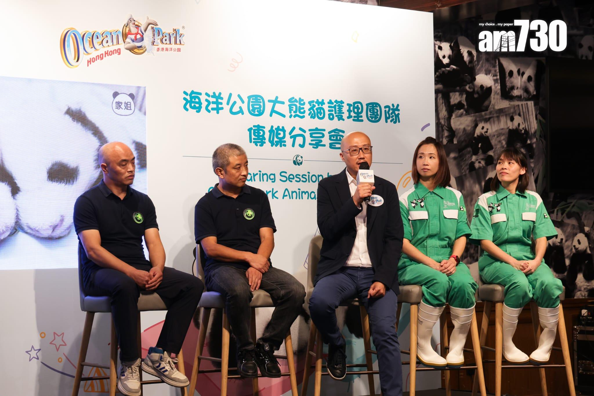 大熊貓龍鳳胎已開眼,預計農曆新年前後可與公眾見面。(吳康琦攝)