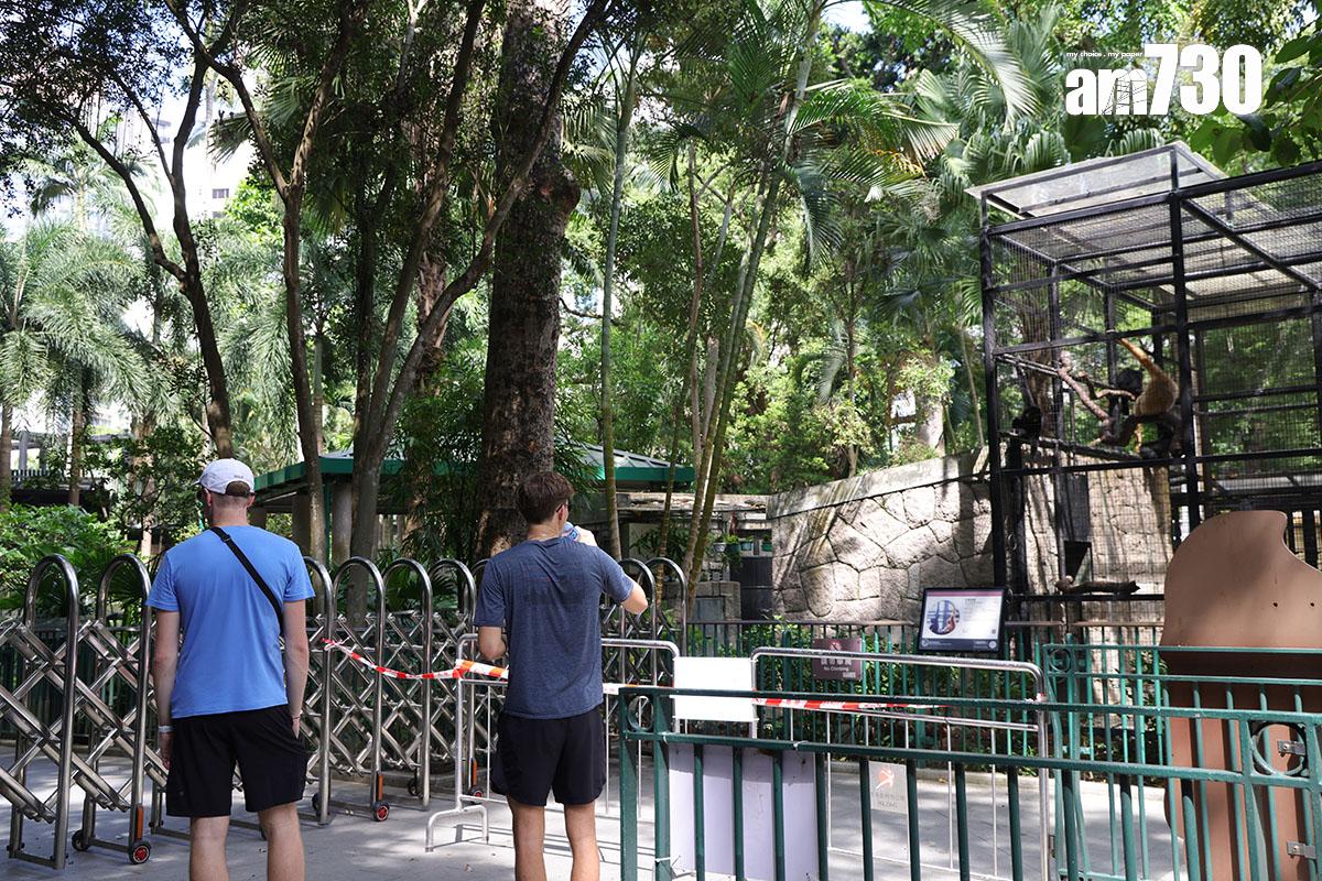 香港動植物公園近期接連有猴子死亡。(資料圖片/吳康琦攝)