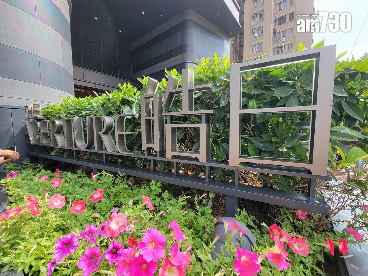 皓日住客會所連園林佔地1.5萬呎 設25米長戶外泳池(多圖有片)|九龍灣新盤