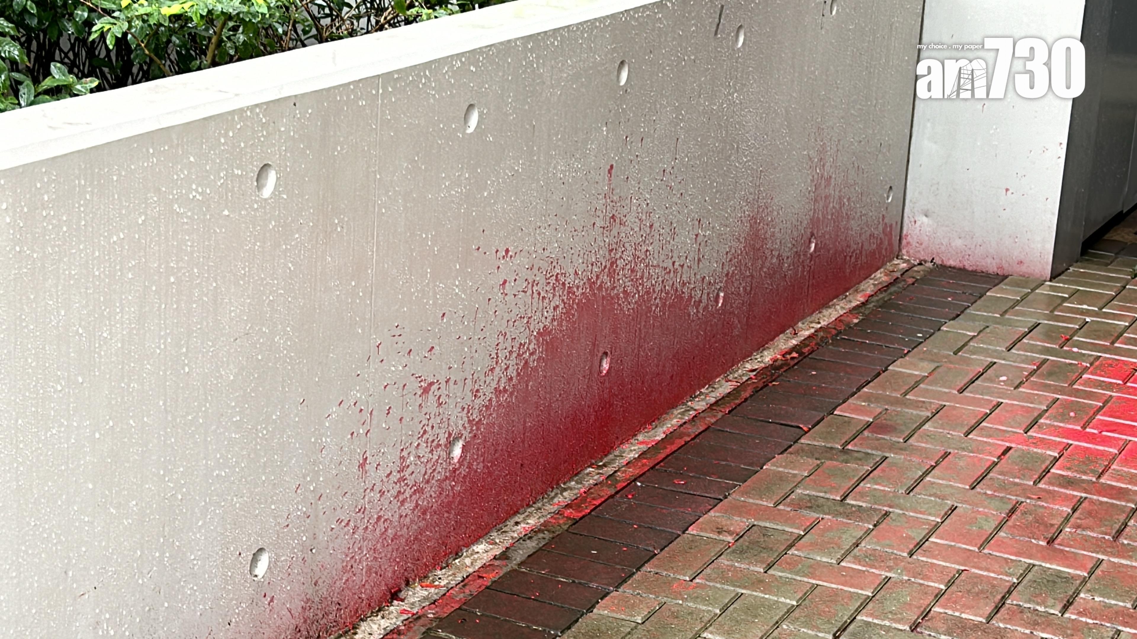 政府總部懷疑遭人投擲漆油彈,無人受傷。(陳芷晴攝)