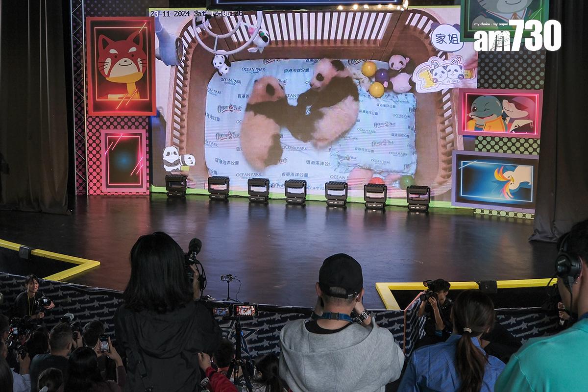 海洋公園為大熊貓龍鳳胎寶寶舉行「百日慶」活動。(資料圖片/中新社)