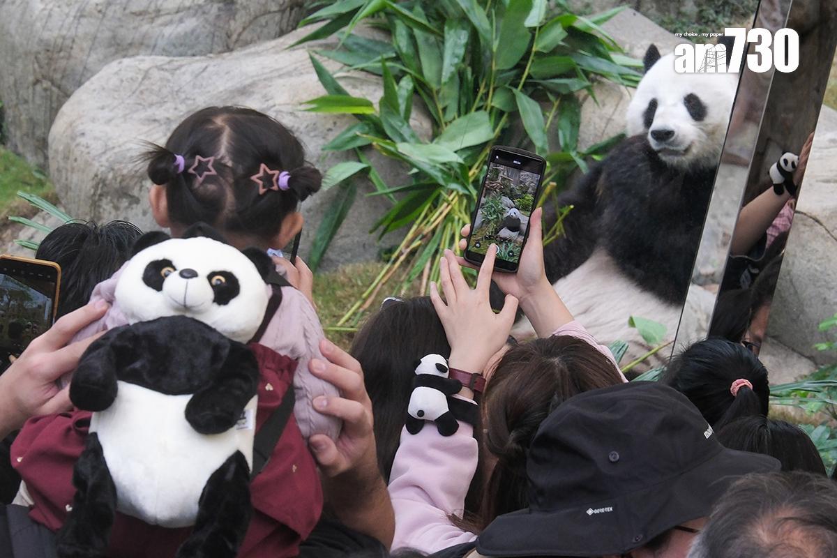 海洋公園為大熊貓龍鳳胎寶寶舉行「百日慶」活動。(資料圖片/中新社)
