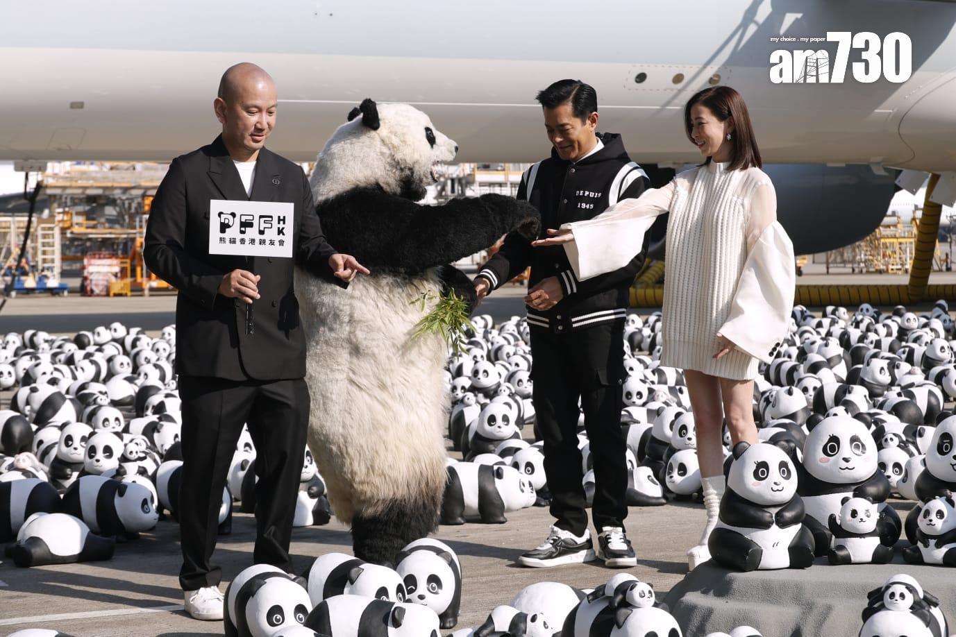 古天樂及佘詩曼化身「熊貓領隊」到機場禁區出席《PANDA GO!香港遊》歡迎儀式,與2500隻熊貓雕塑一齊「登陸」。(林俊源攝)