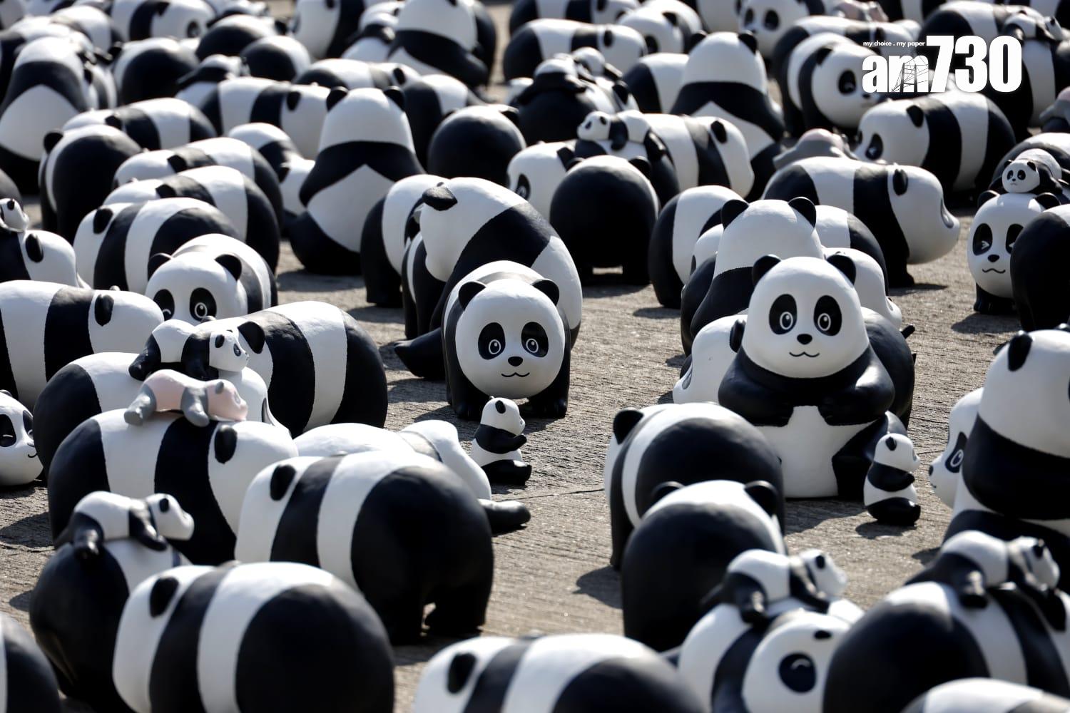 《PANDA GO!香港遊》歡迎儀式在機場舉行。(林俊源攝)