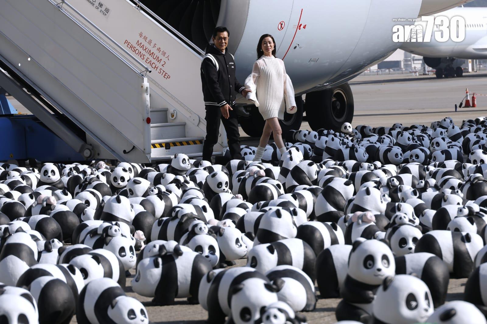 古天樂及佘詩曼化身「熊貓領隊」到機場禁區出席《PANDA GO!香港遊》歡迎儀式,與2500隻熊貓雕塑一齊「登陸」。(林俊源攝)