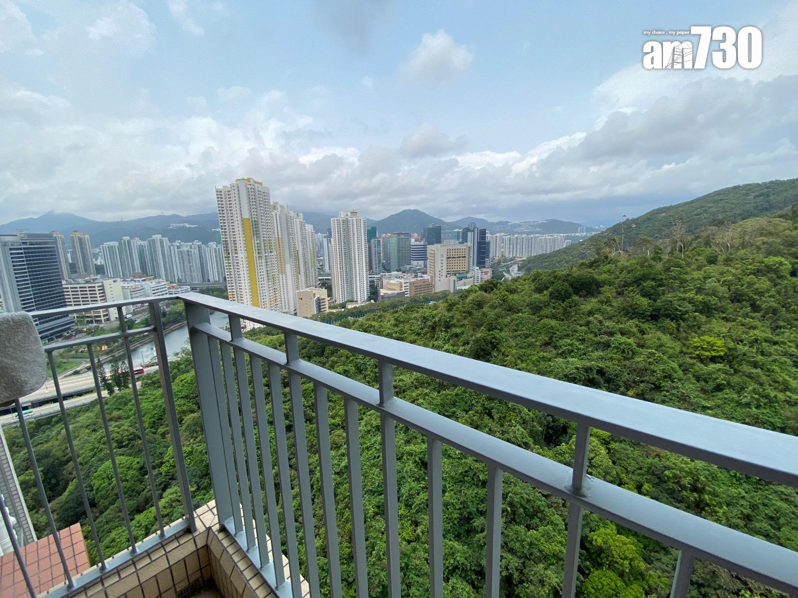 沙田綠怡雅苑兩房放盤10個月減價12%甩手 呎價9575元(有圖)|二手居屋成交