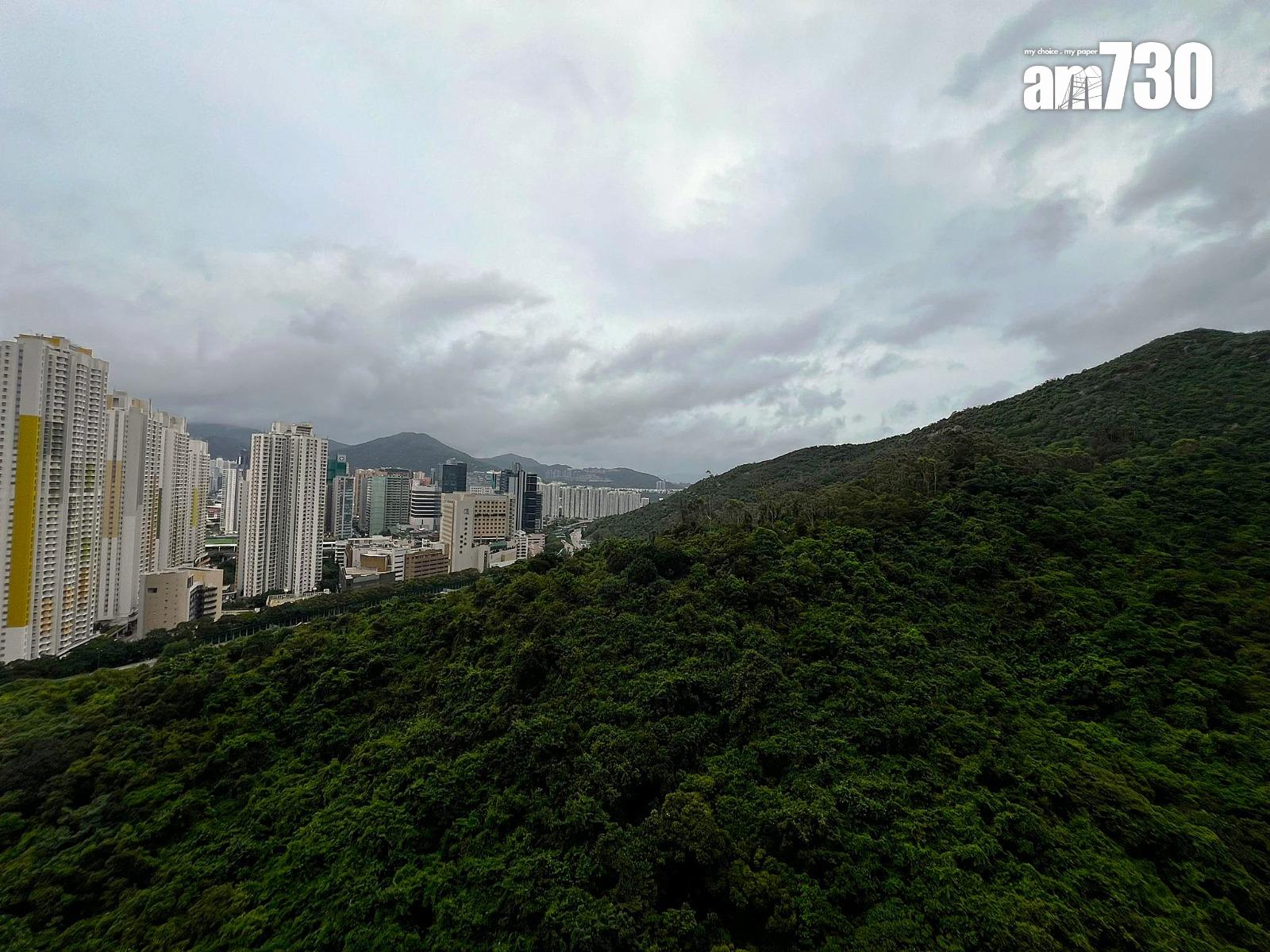 沙田綠怡雅苑兩房放盤10個月減價12%甩手 呎價9575元(有圖)|二手居屋成交