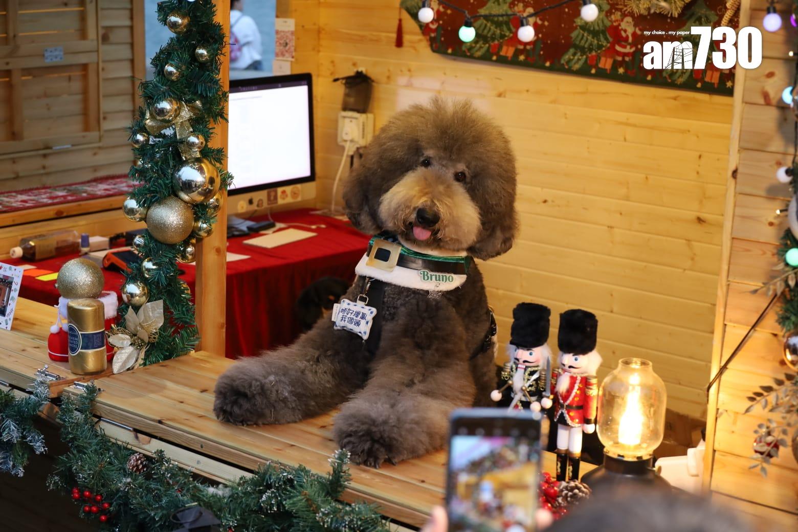 西九聖誕市集開鑼 30攤檔售聖誕飾品美食 展商:維港海旁助吸客 (鍾式明攝)