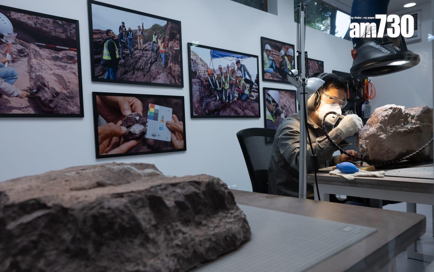 探知館新設「恐龍會客室」 展示專家清修港產恐龍化石 (蘇文傑攝)