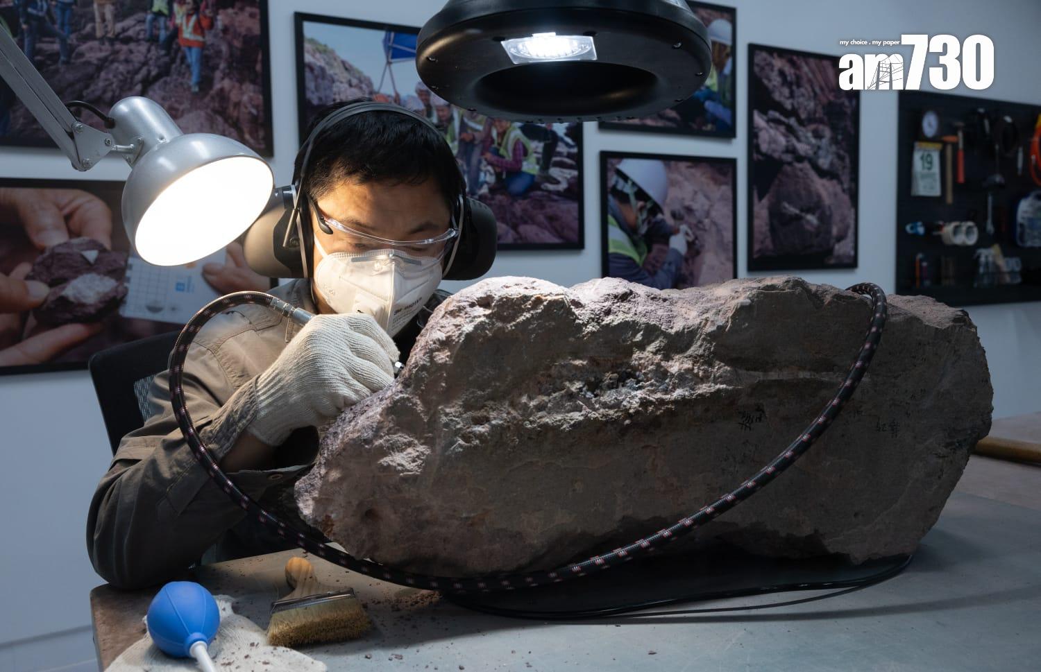 探知館新設「恐龍會客室」 展示專家清修港產恐龍化石 (蘇文傑攝)