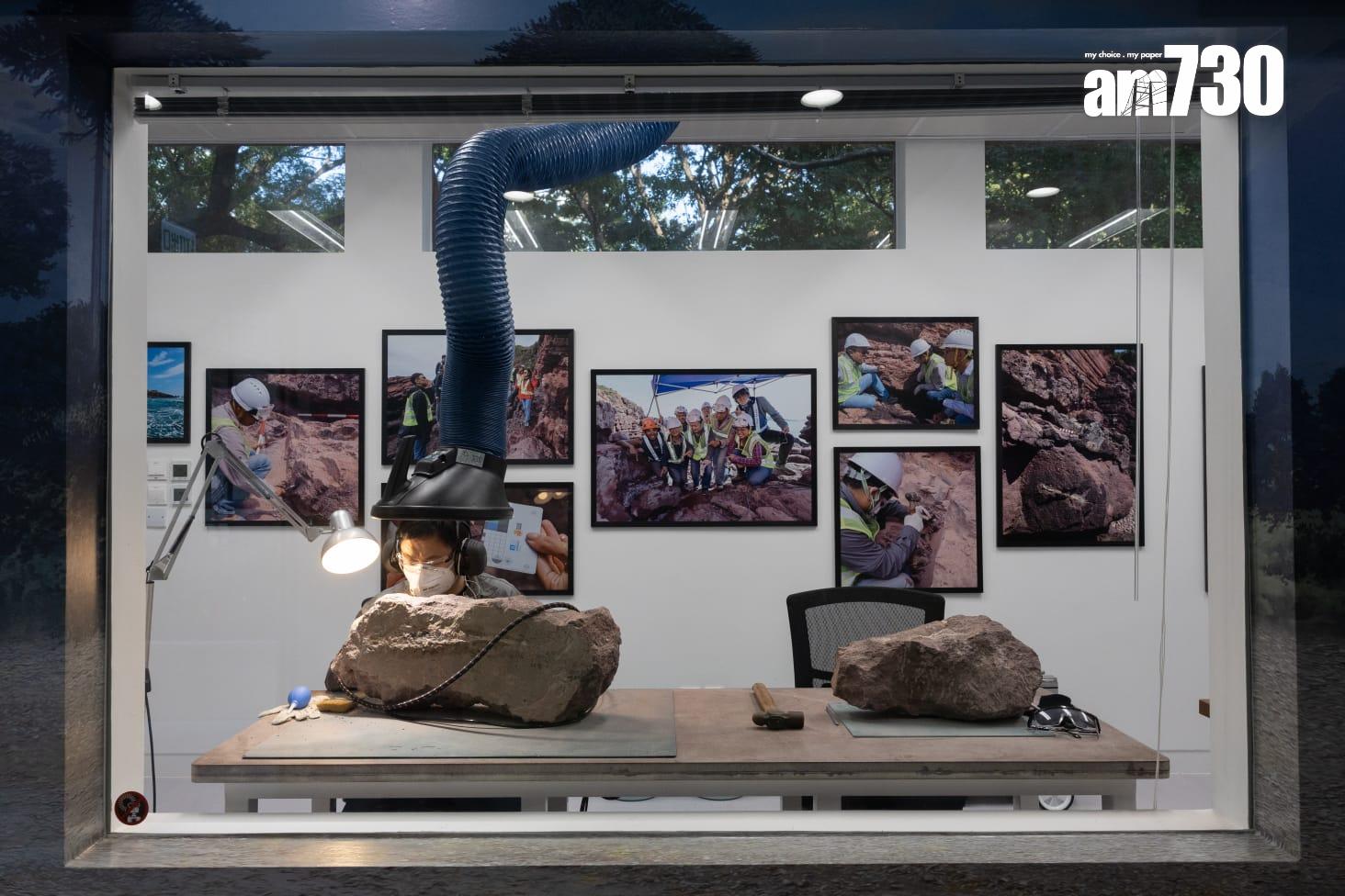 探知館新設「恐龍會客室」 展示專家清修港產恐龍化石 (蘇文傑攝)