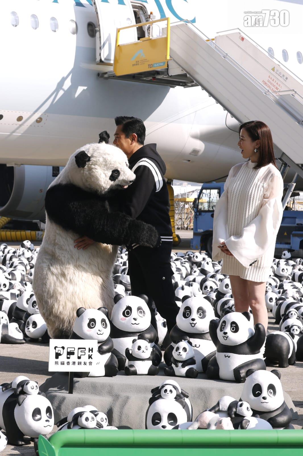 大熊貓|PANDA GO展覽吉祥物仿真度極高 成本和法拉利相約