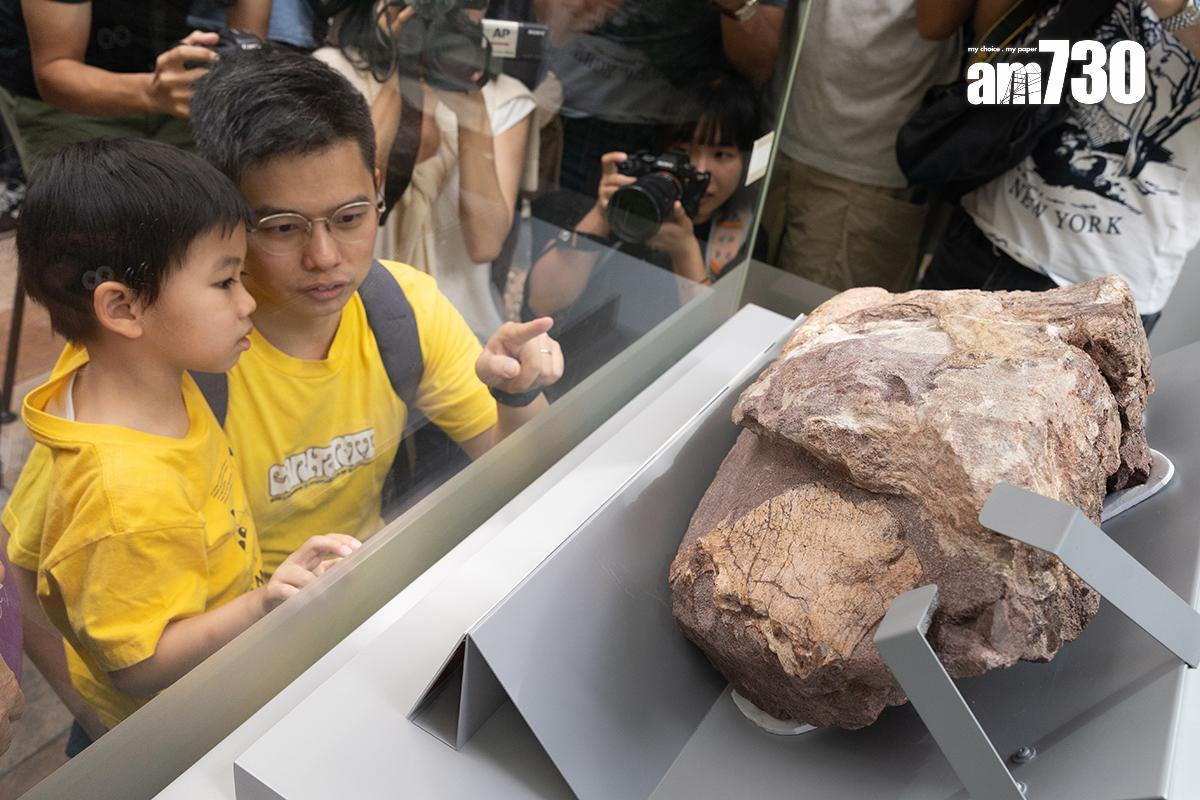 香港文物探知館向公眾展出香港恐龍化石。(資料圖片/蘇文傑攝)