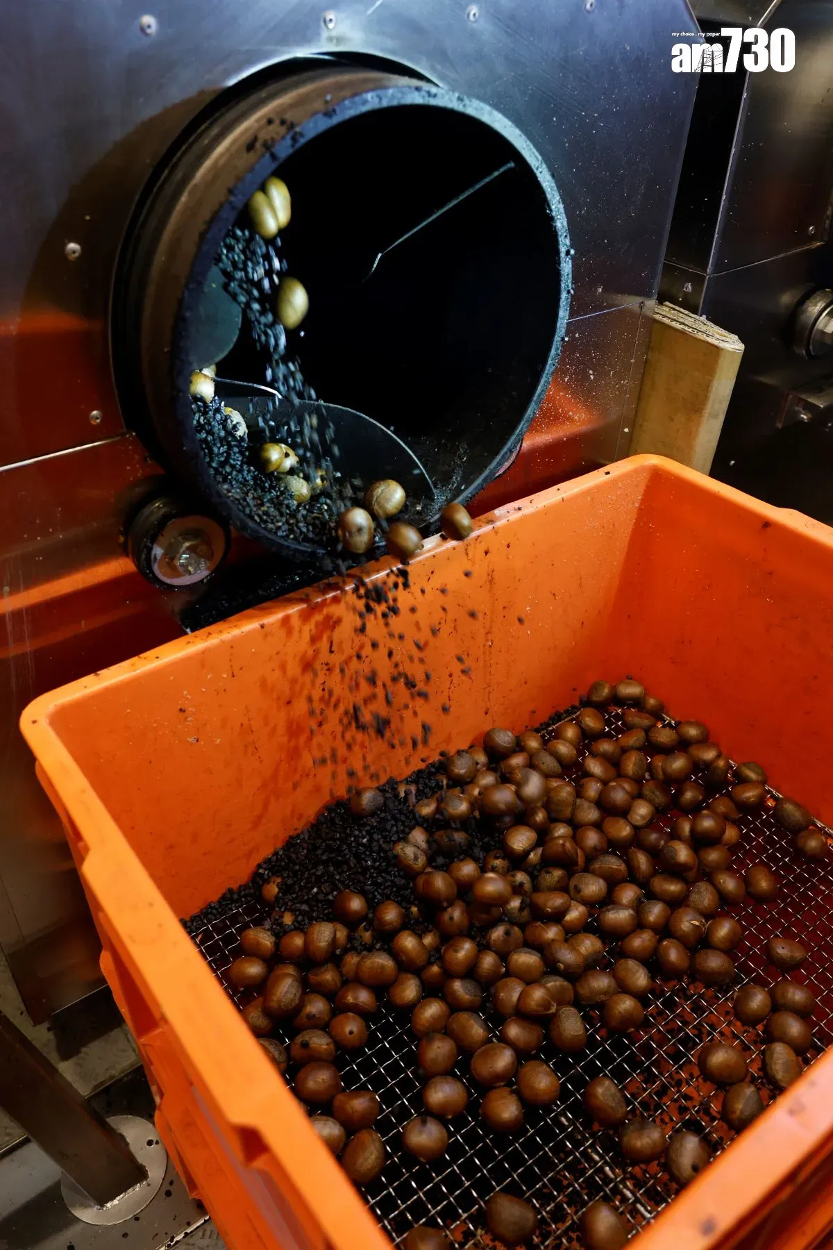 炒栗子需時40分鐘,加少許水及蜜糖一起炒以防止污穢。(林俊源攝)