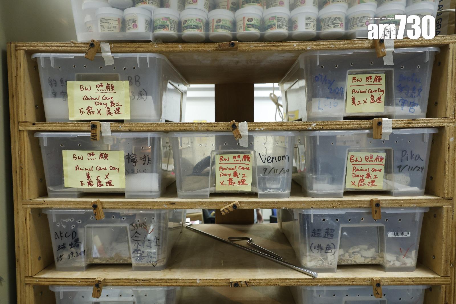 領養中心空間和人手有限,難應付大量動物被棄養(林俊源攝)