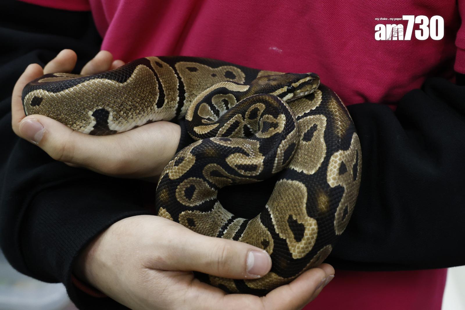 蛇與人類互動程度較低(林俊源攝)