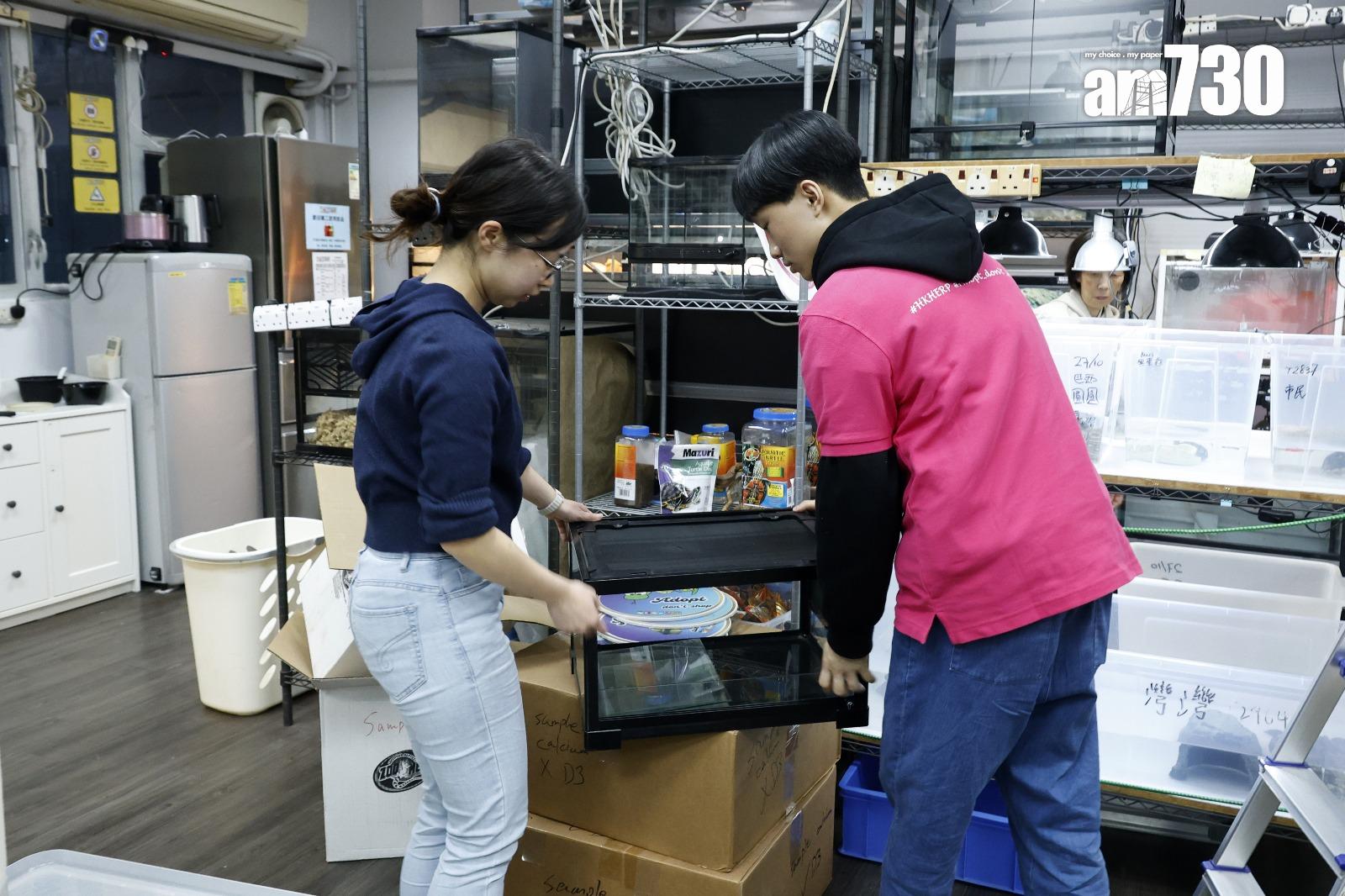 飼養蛇需提供合適大小的飼養缸(林俊源攝)