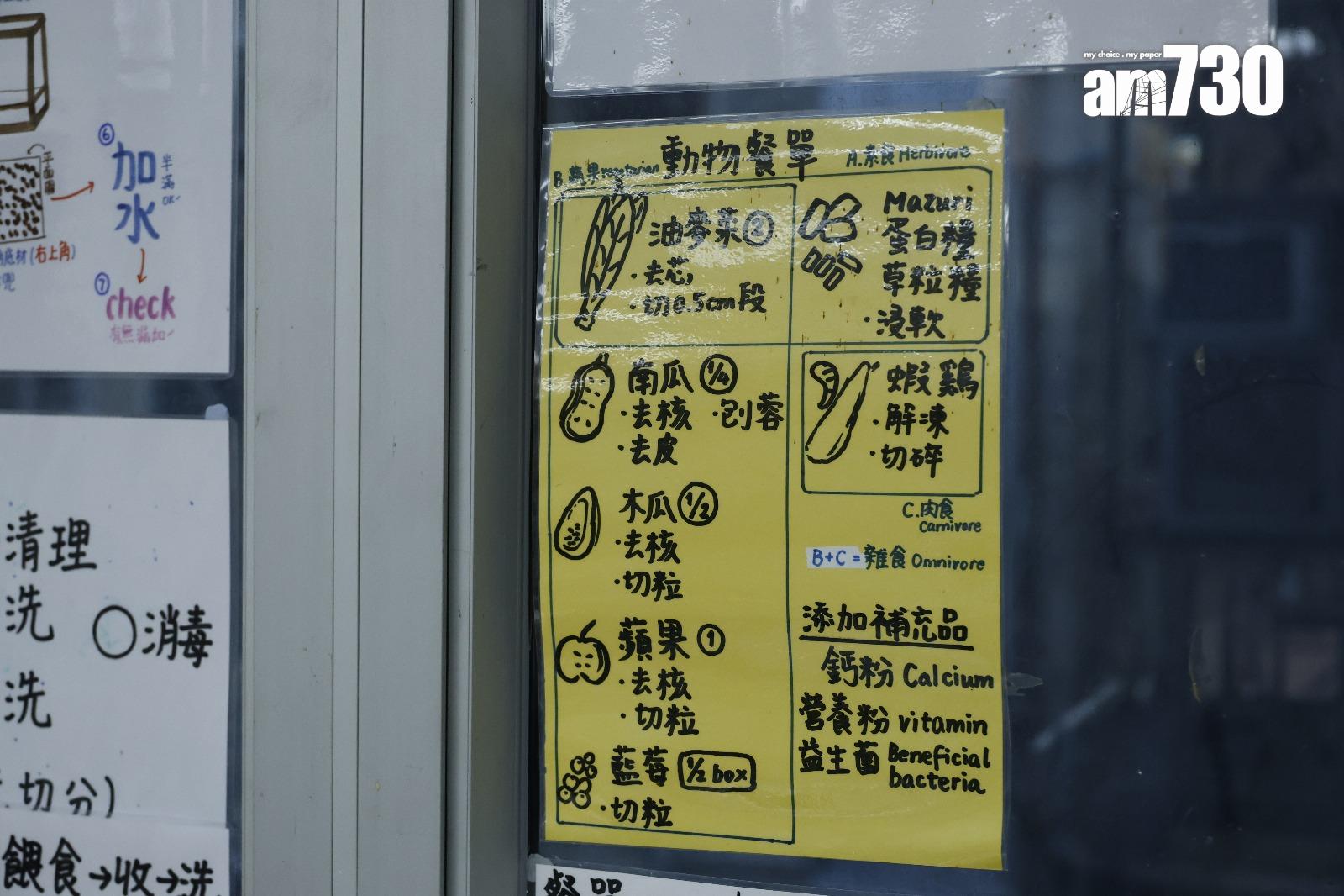 中心會向領養蛇的飼主提供知識和支援,亦會幫助檢查家中設施是否合適(林俊源攝)