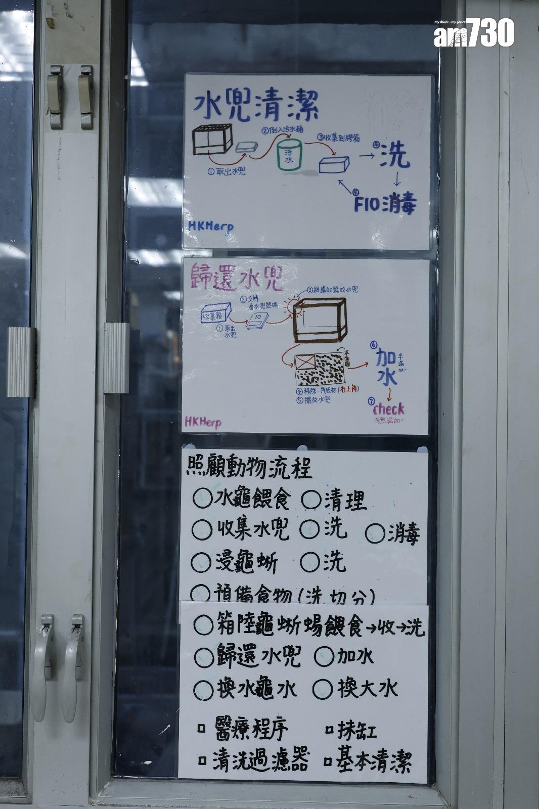 中心會向領養蛇的飼主提供知識和支援,亦會幫助檢查家中設施是否合適(林俊源攝)