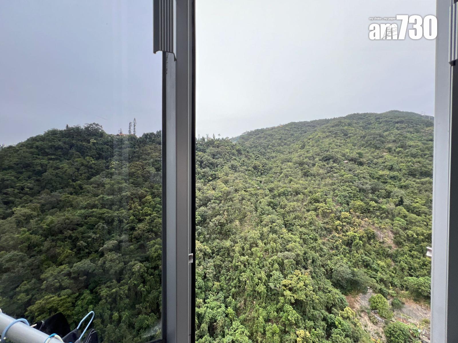 新居屋逆市破頂!火炭彩禾苑造價升穿500萬關 原業主持貨未夠4年帳賺11%(有圖)|二手成交