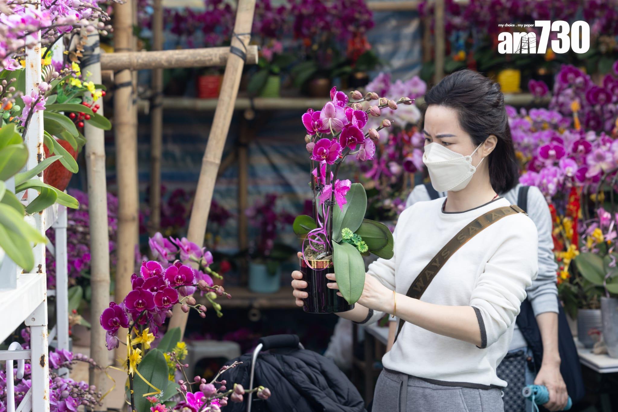 維園年維園年宵開鑼 花攤推《chiikawa》造型年花吸客 學團籌款助柬埔寨非洲學童 (蘇文傑攝)