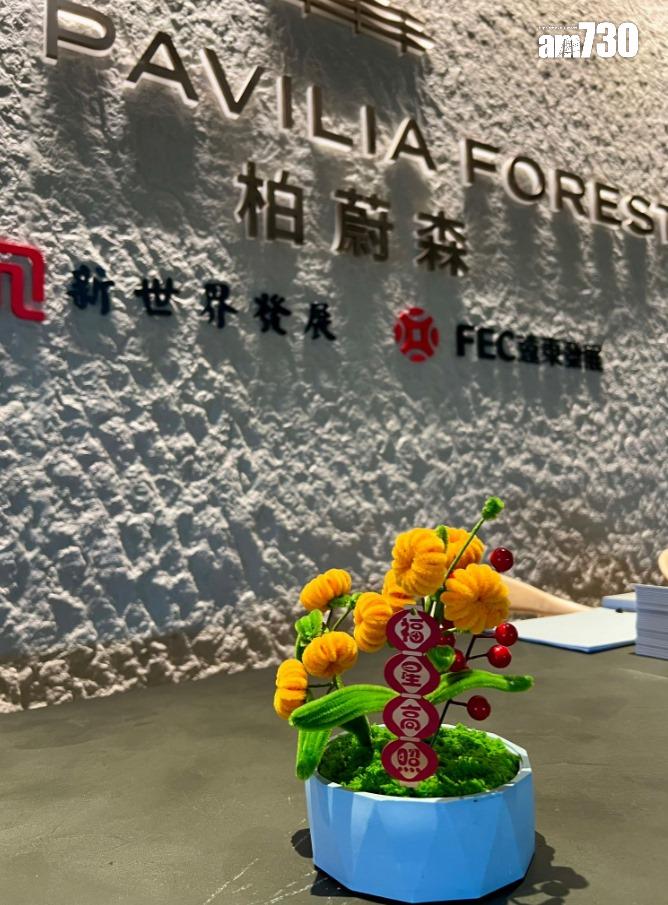 柏蔚森累沽519伙 吸金逾35億 周末舉辦新春賀年「森」悅工作坊|啟德新盤