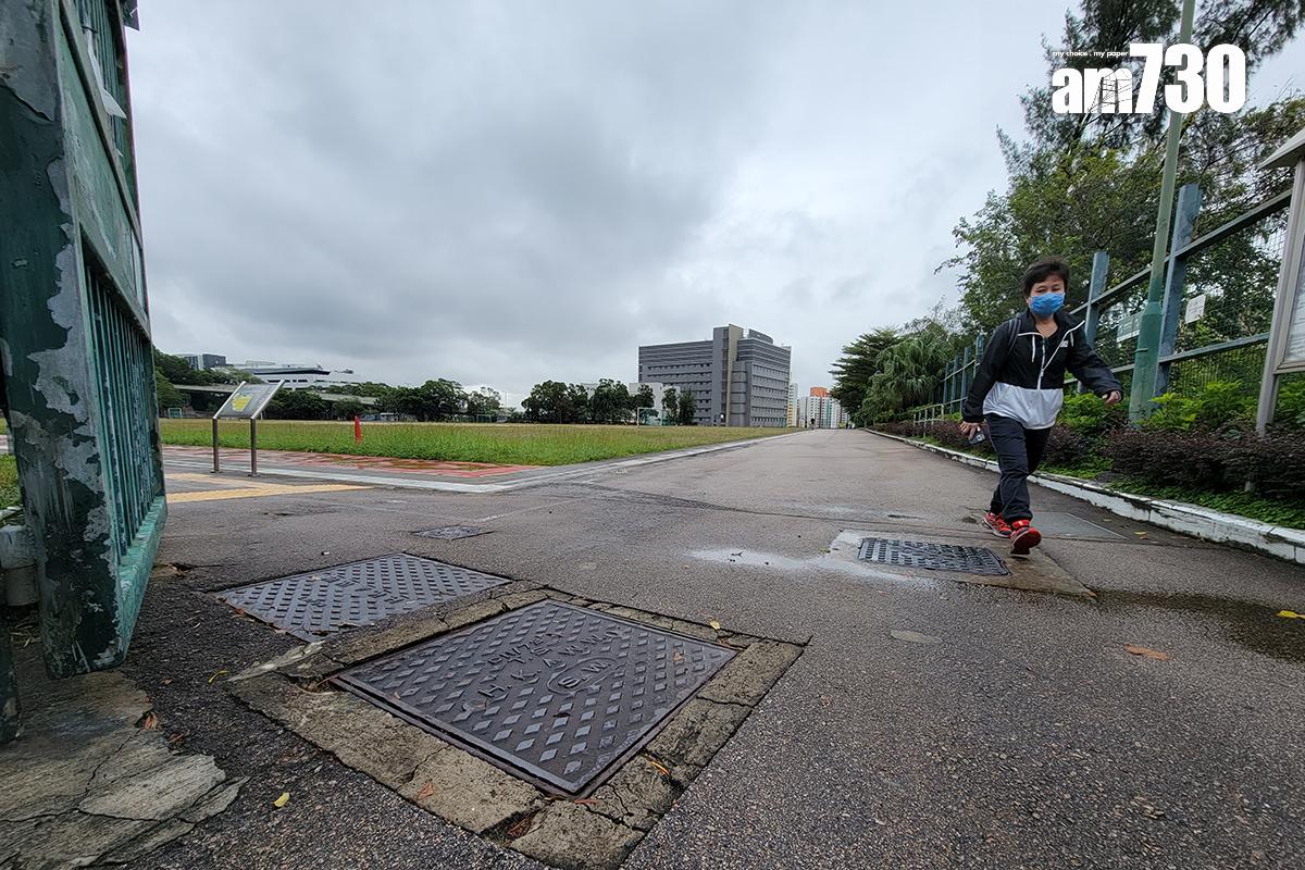 石硤尾配水庫遊樂場將移除約28棵老化的台灣相思。(資料圖片)