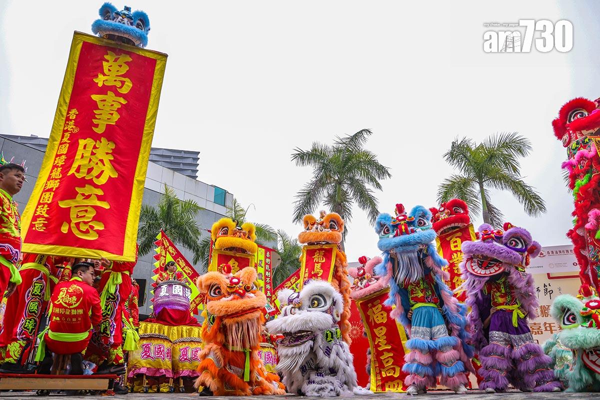 香港龍獅節暨第七屆世界龍獅日在尖沙咀舉行。(中通社)