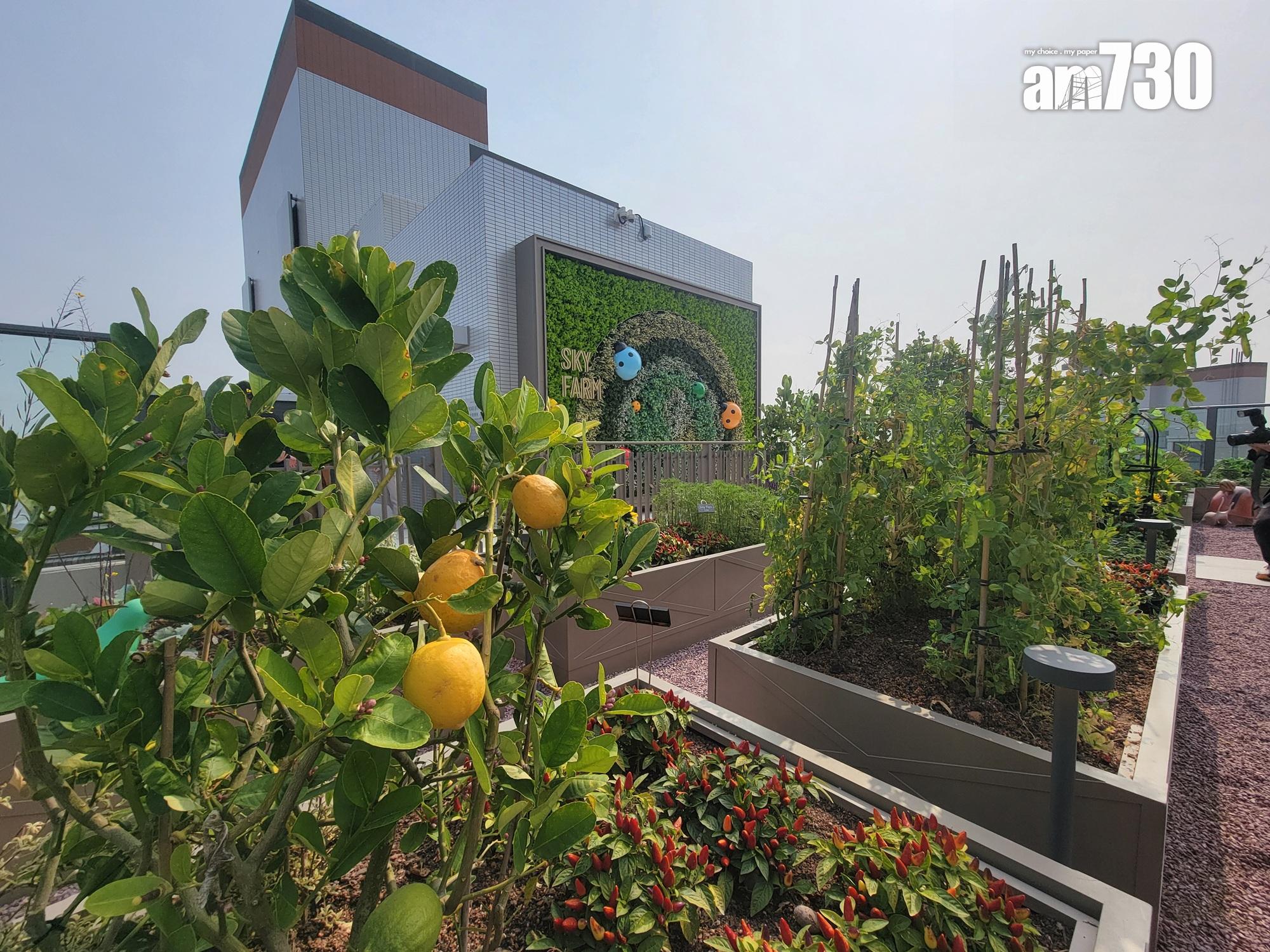 YOHO WEST現樓單位及會所有得睇!景觀開揚 遠眺深圳城市天際線(多圖有片)|天水圍新盤