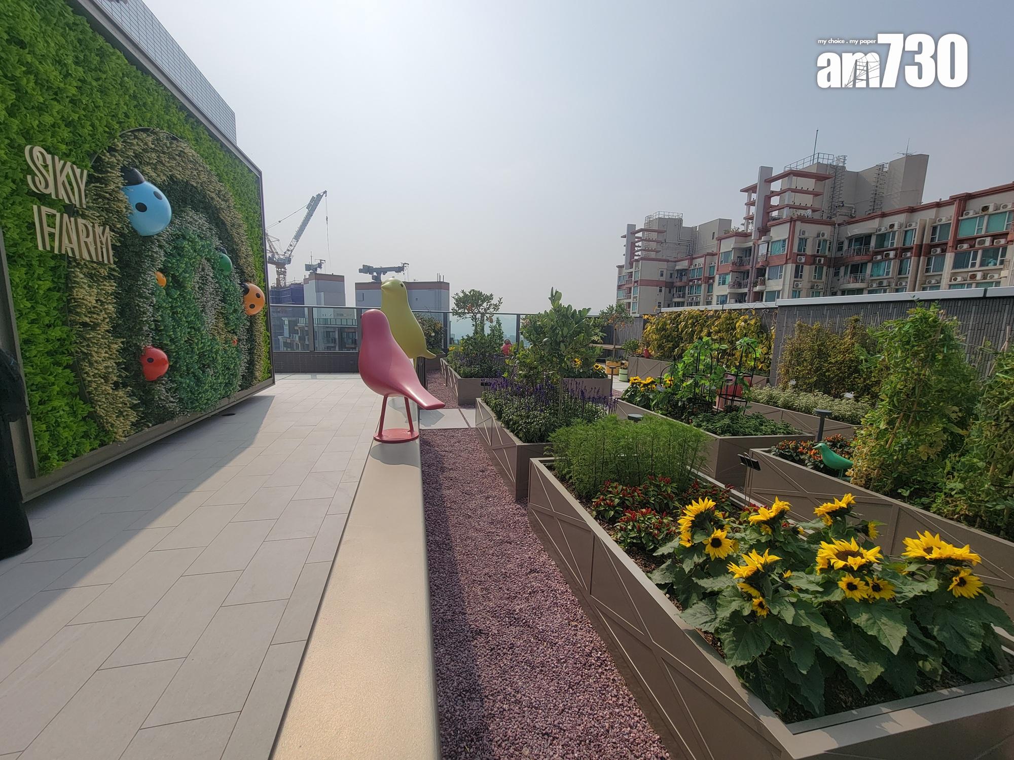 YOHO WEST現樓單位及會所有得睇!景觀開揚 遠眺深圳城市天際線(多圖有片)|天水圍新盤