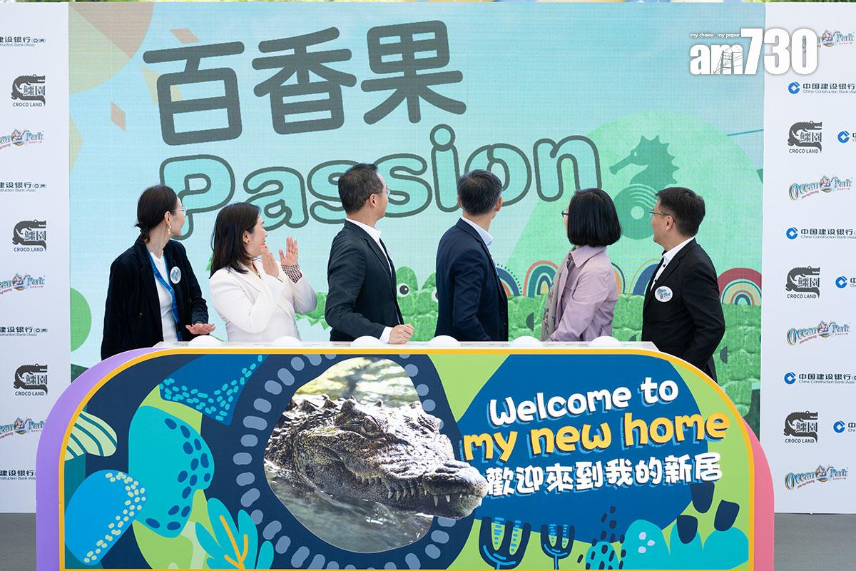 海洋公園去年推出全新動物大使鱷魚「百香果」。(資料圖片)