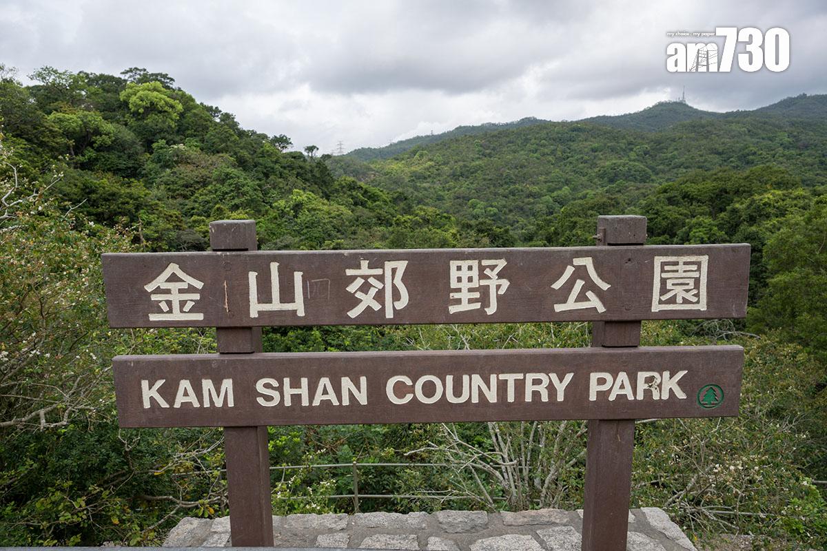 一名男子在金山郊野公園接觸猴子後受傷,其後對B病毒呈陽性反應。(資料圖片)