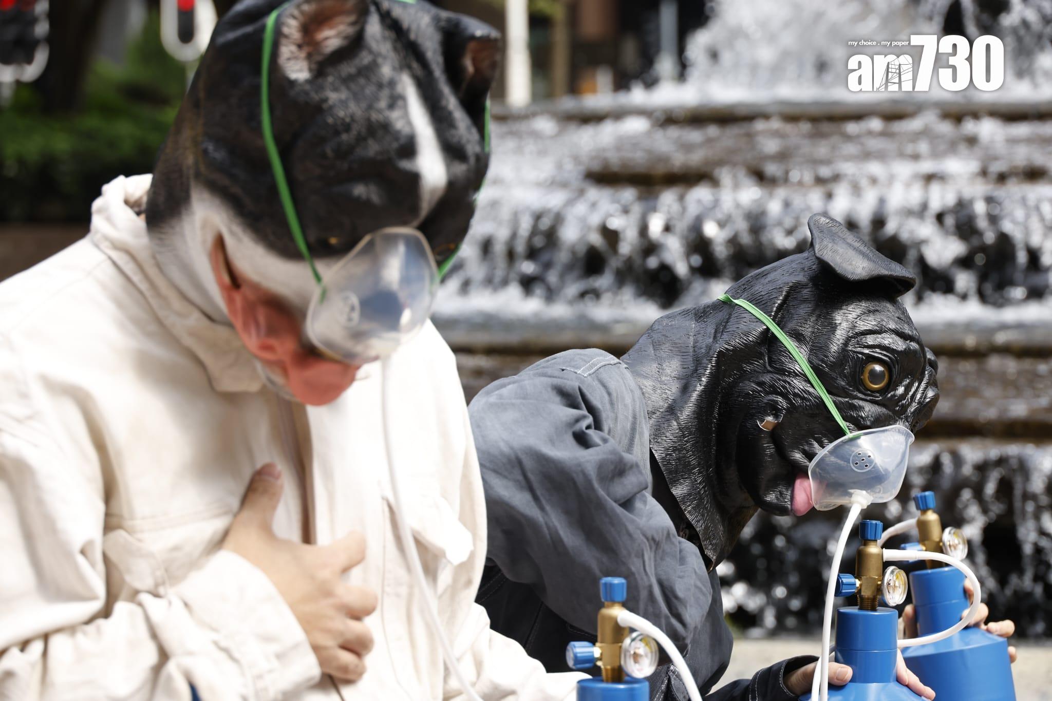 支持者扮作短鼻犬、戴上氧氣罩和攜帶氧氣樽聚集在會場外,提醒準飼主注意短鼻犬的先天呼吸困難。(林俊源攝)