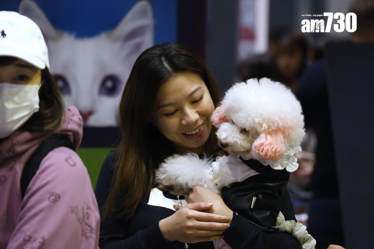 集團未來即將安排免費跨境交通、旅客折扣和免費入場券,料今年每季吸引15,000內地旅客。(林俊源攝)