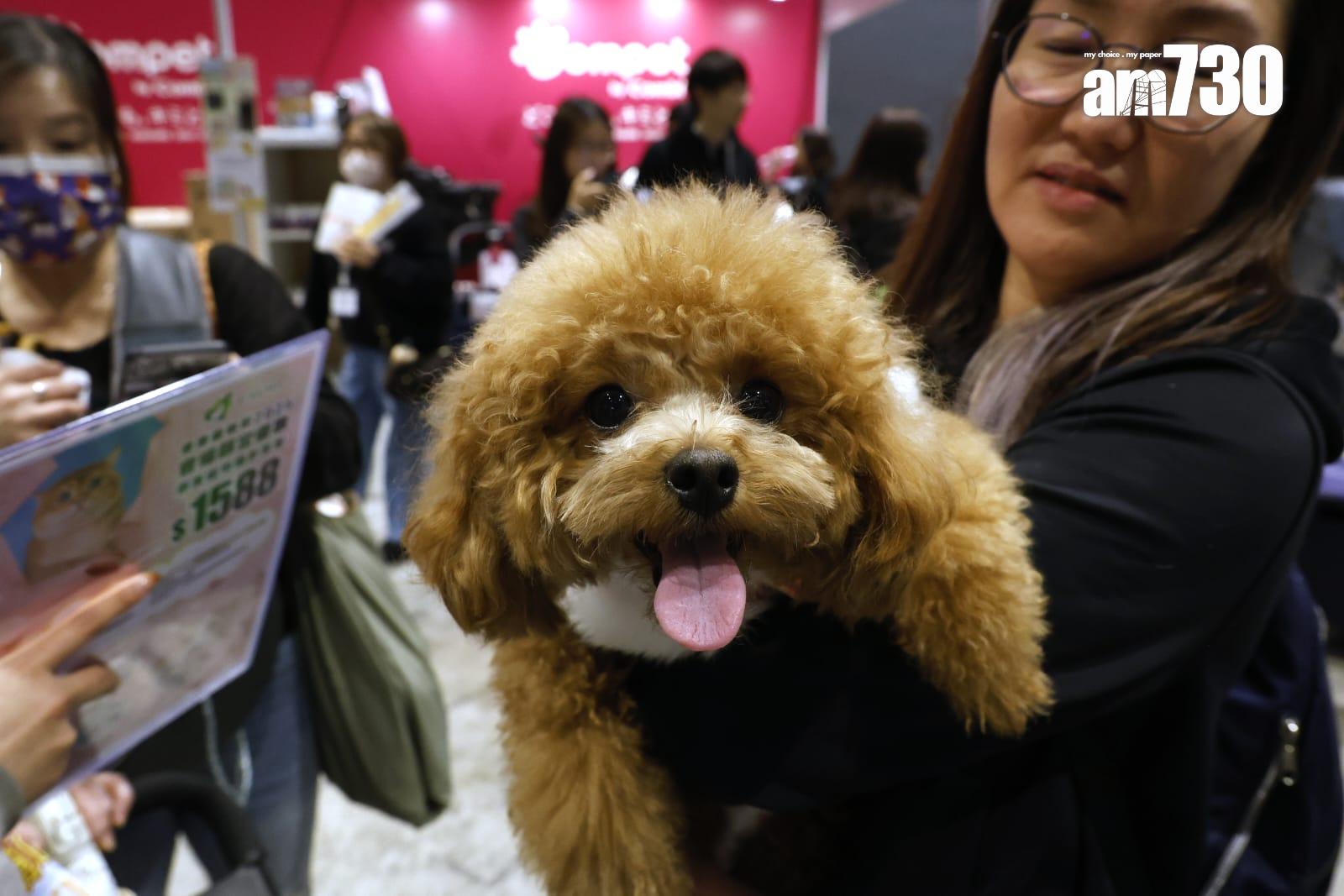 集團未來即將安排免費跨境交通、旅客折扣和免費入場券,料今年每季吸引15,000內地旅客。(林俊源攝)