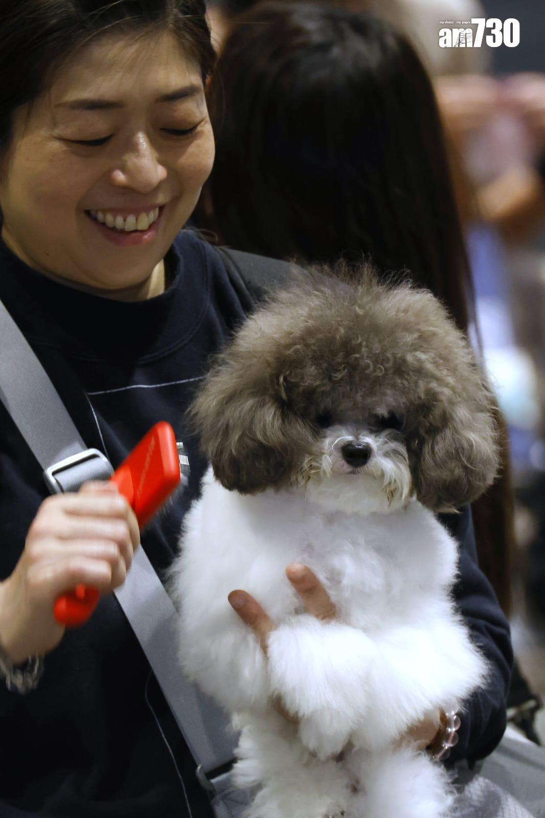 集團未來即將安排免費跨境交通、旅客折扣和免費入場券,料今年每季吸引15,000內地旅客。(林俊源攝)