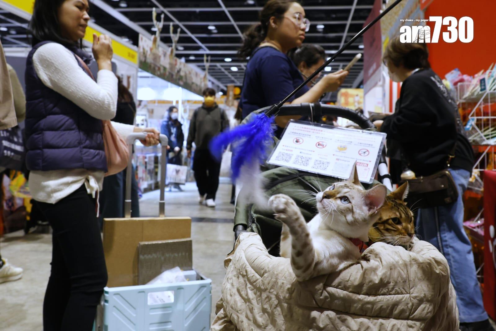 博覽設有各種寵物主題的展區及多項精彩活動。(林俊源攝)