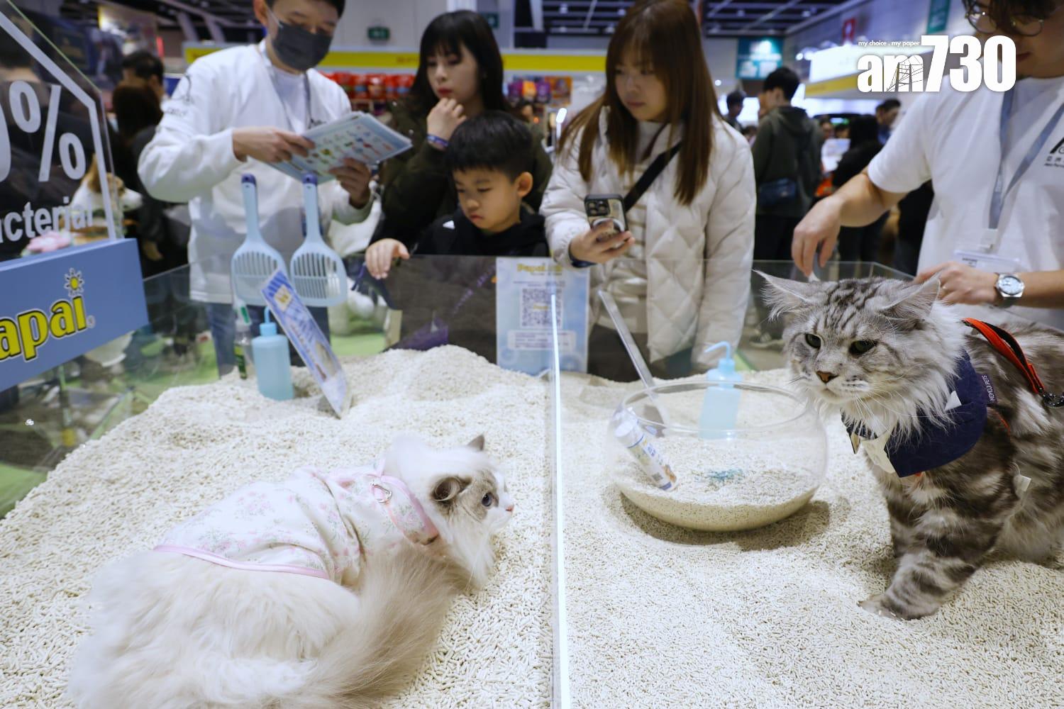 博覽設有各種寵物主題的展區及多項精彩活動。(林俊源攝)