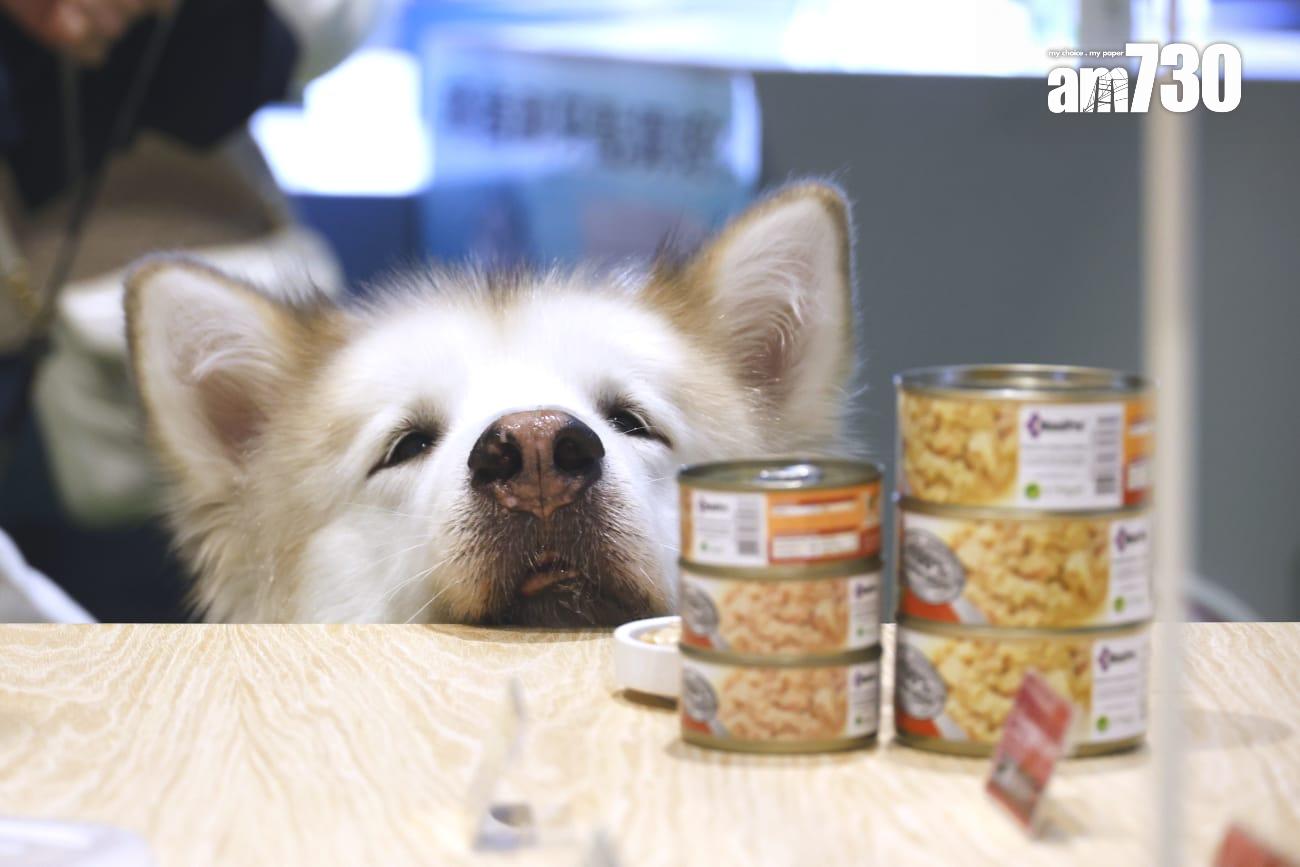 今屆展會規模是歷來最大,26萬平方呎的會場內,有近400個參展商參展,設超過1,000個展位,匯聚知名寵物食品和用品品牌。(林俊源攝)