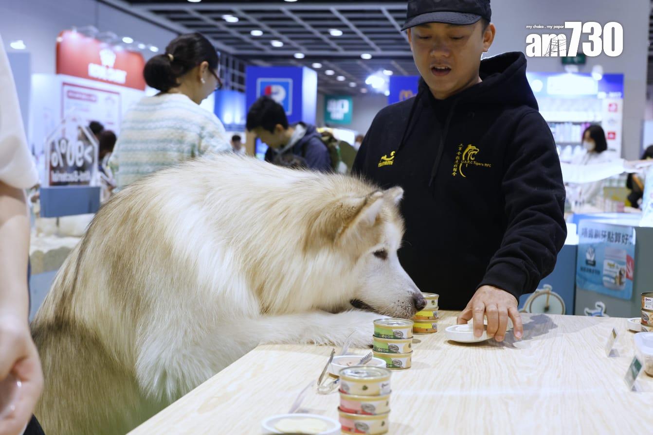 今屆展會規模是歷來最大,26萬平方呎的會場內,有近400個參展商參展,設超過1,000個展位,匯聚知名寵物食品和用品品牌。(林俊源攝)