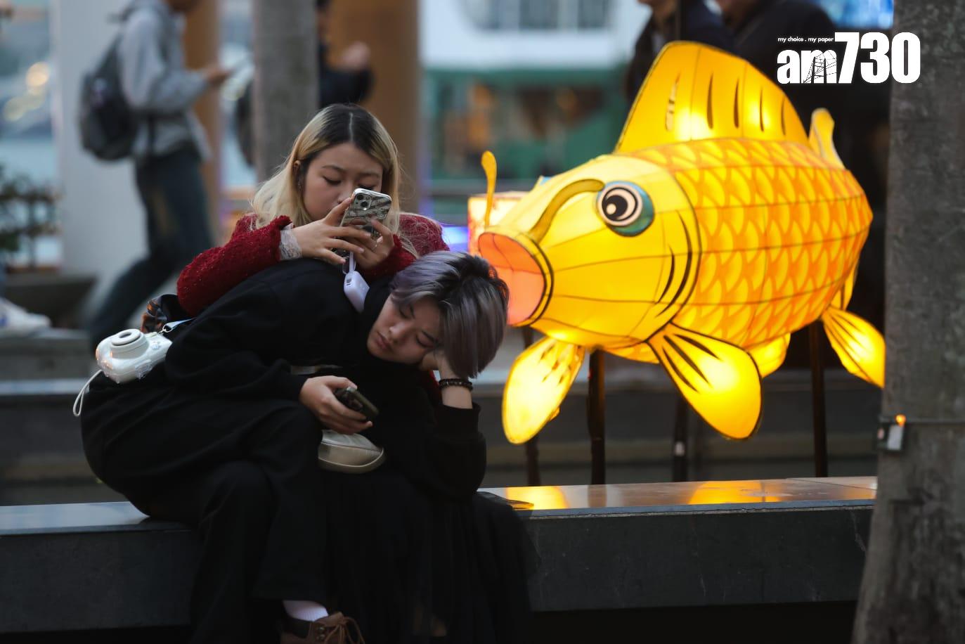 元宵綵燈明晚舉行 六米高大型宮燈成打卡亮點 (吳康琦攝)