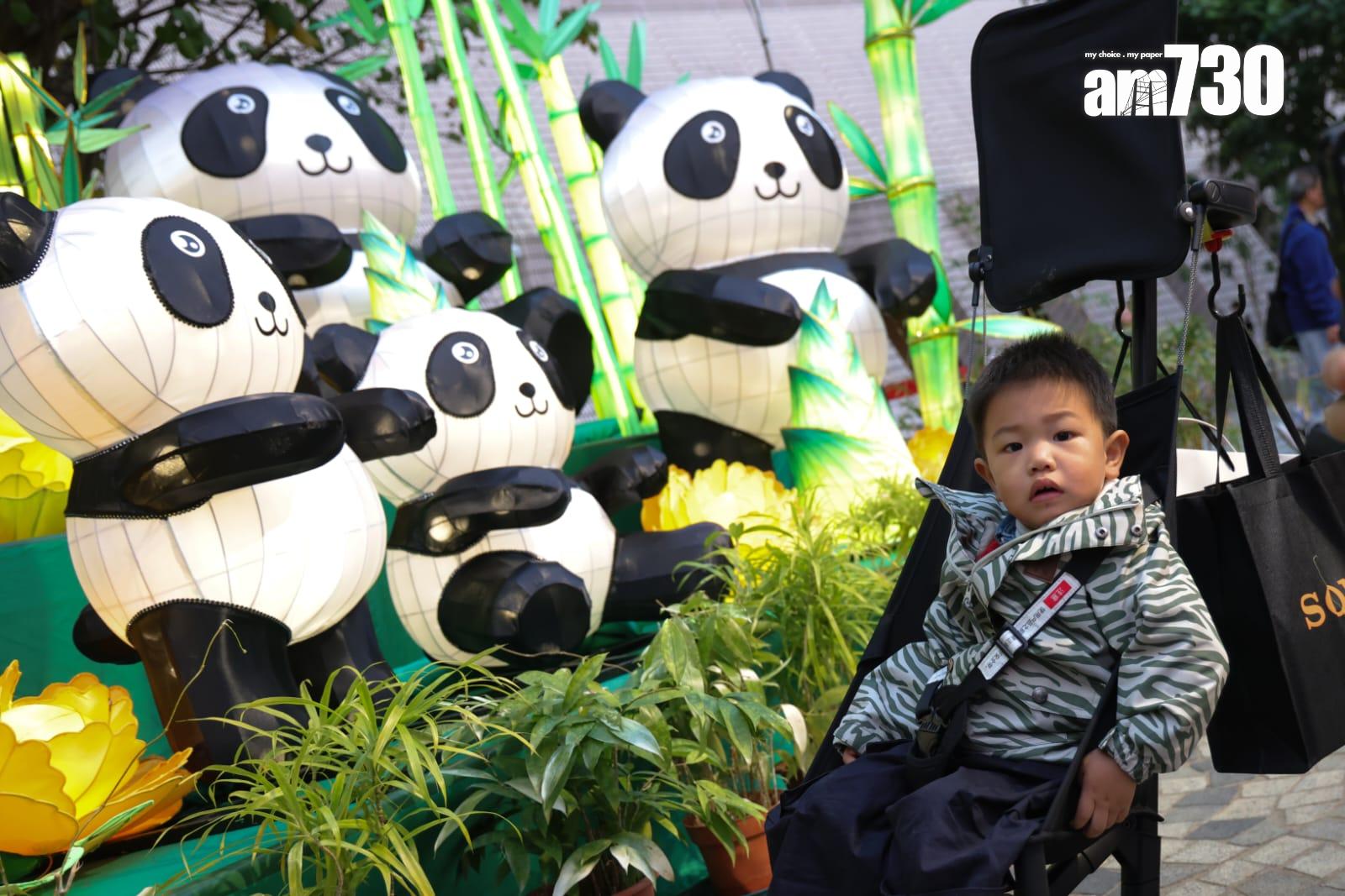 元宵綵燈明晚舉行 六米高大型宮燈成打卡亮點 (吳康琦攝)