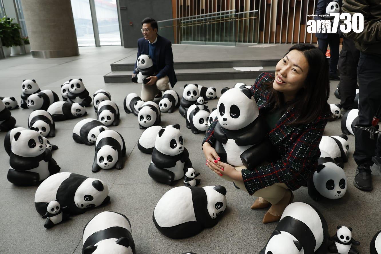 150隻熊貓雕塑今日起在立法會大樓地下大堂展出。(林俊源攝)