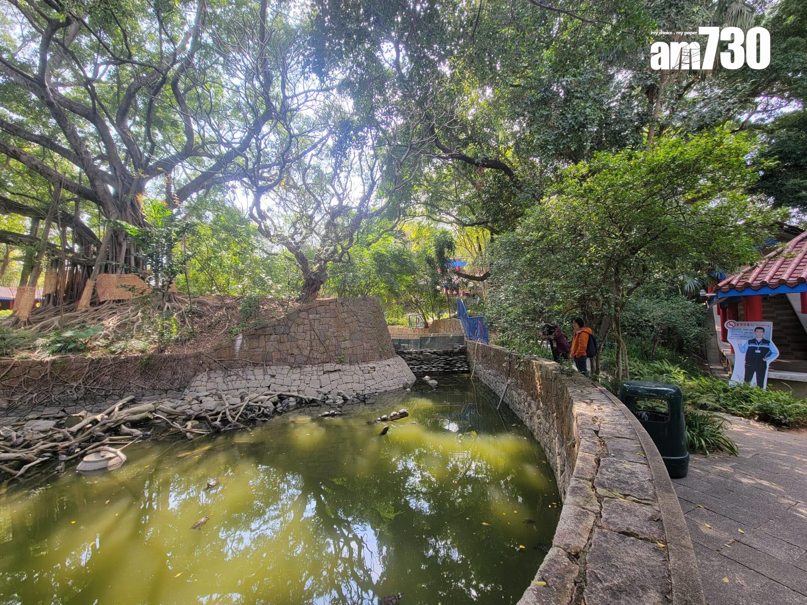 下游魚池。(鍾式明攝)