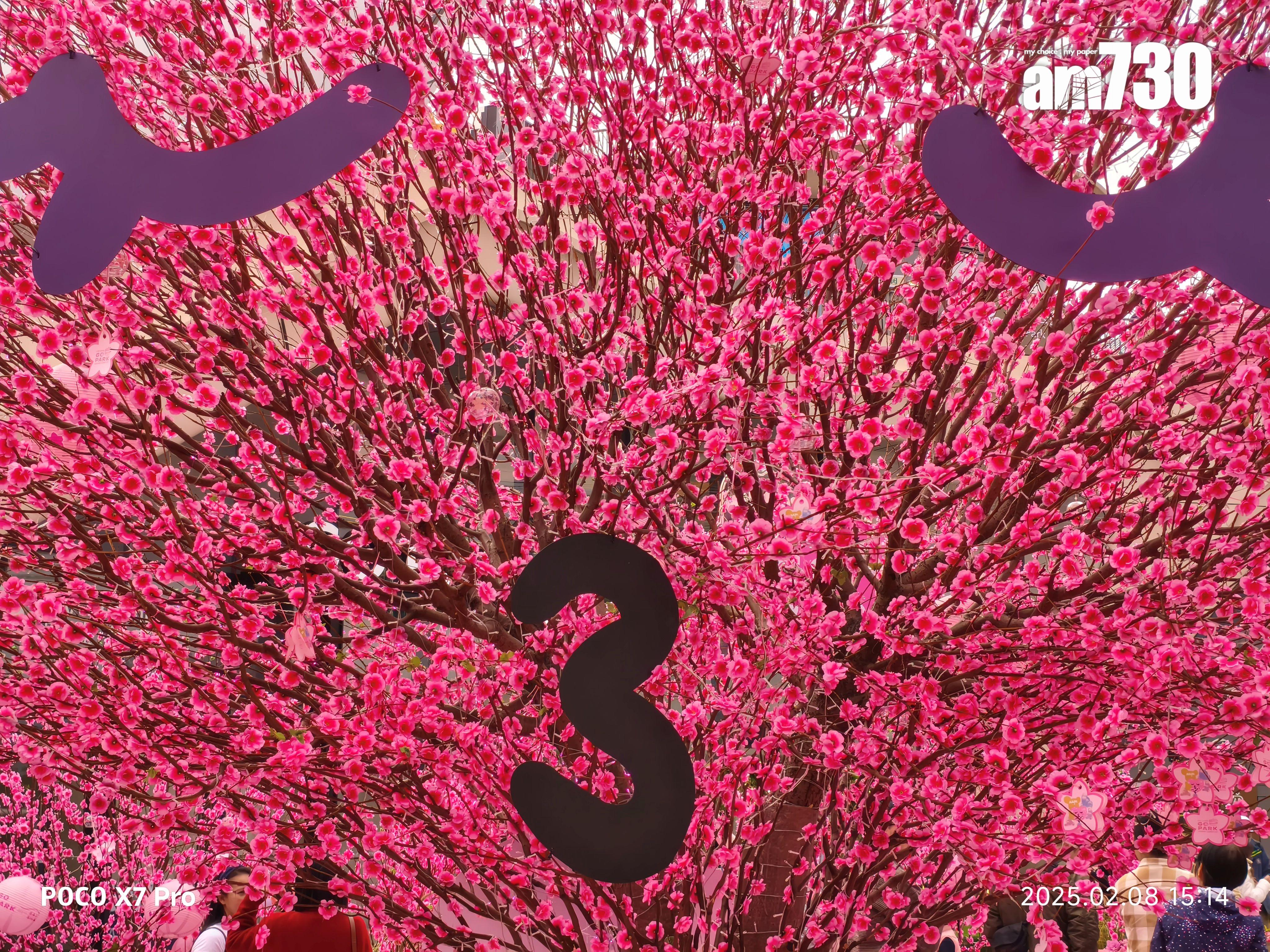 POCO X7 Pro長焦試相。