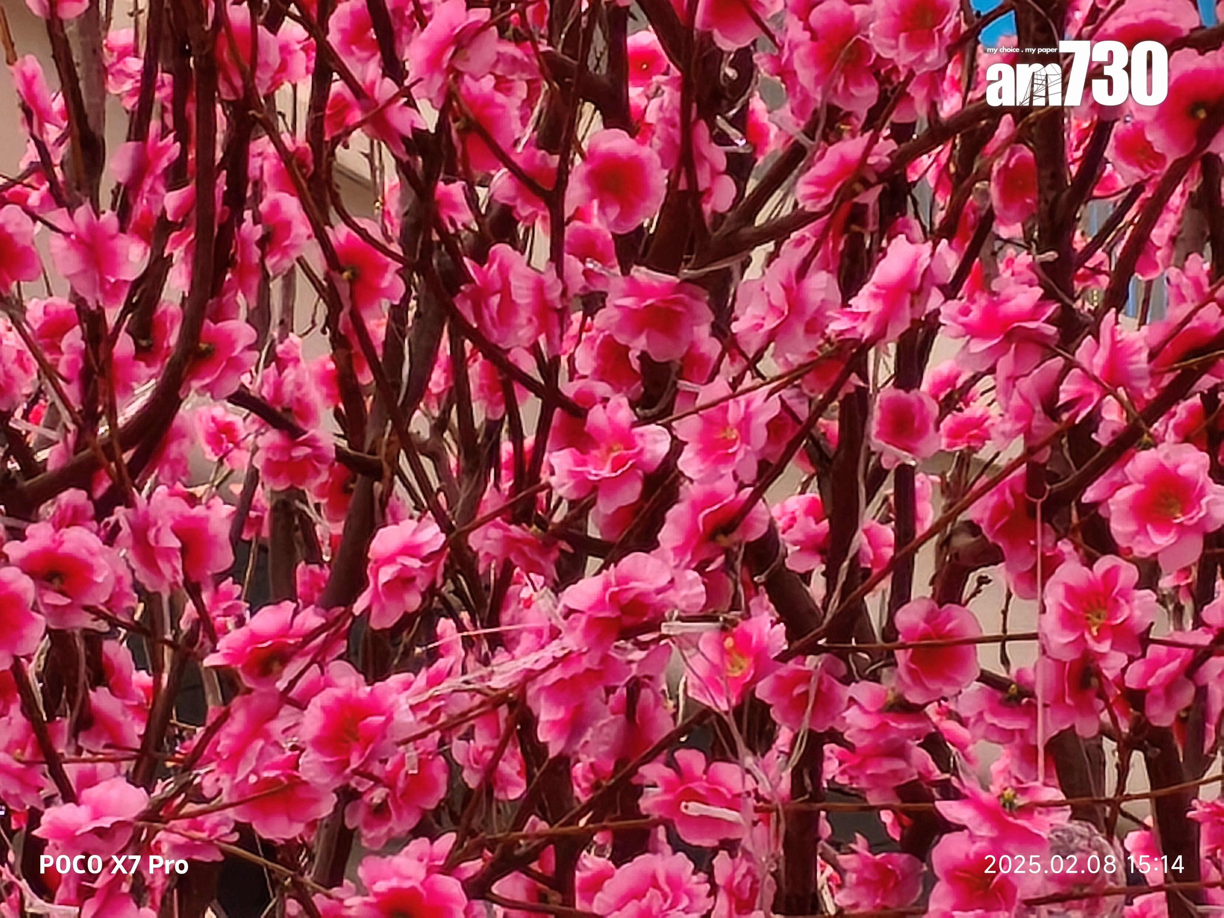 POCO X7 Pro長焦試相。