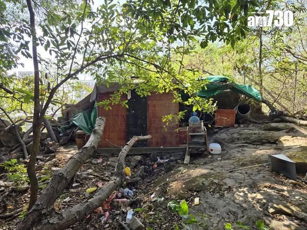 有人發現舊牛奶公司牧場遺址上出現木屋,疑為地盤工人休息間(讀者提供)