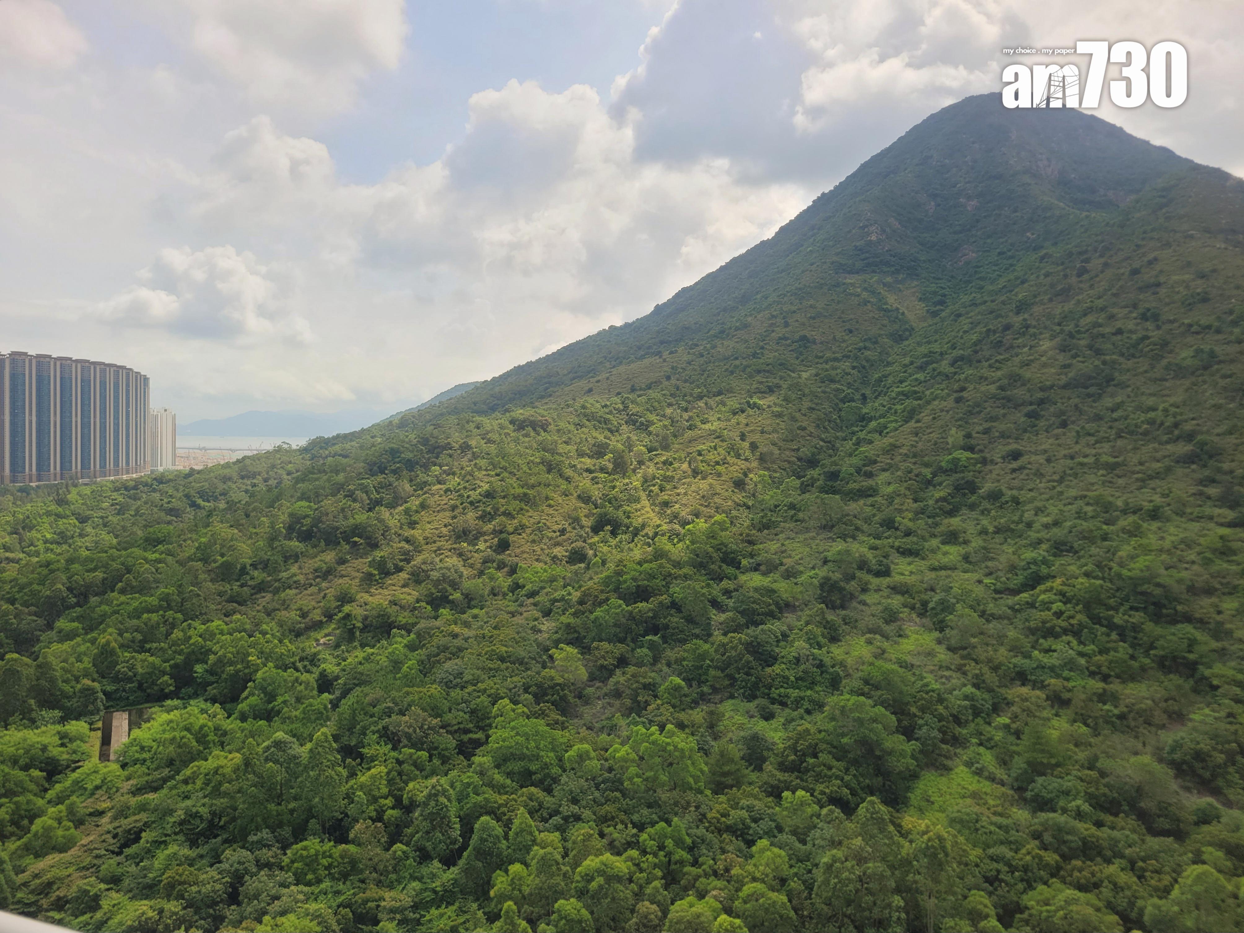 半新居屋「1字頭」成交!業主一原因勁減 呎價僅$5300(多圖)|二手市況